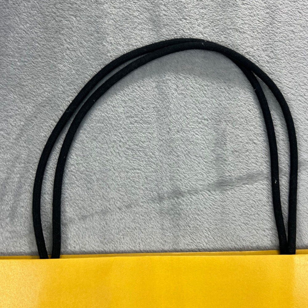 Fendi Shopping Bag Large Yellow 15X16X5 Roma Logo‎ Ribbon Designer Packaging - Picture 3 of 7